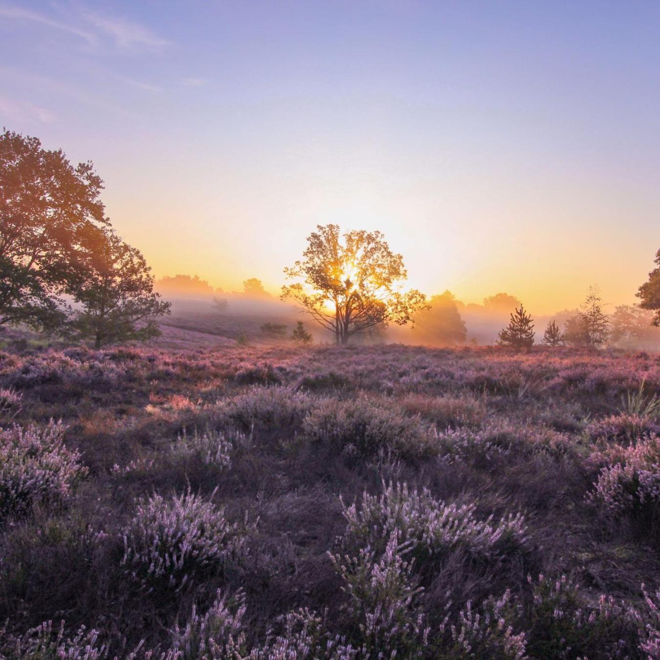 Chalet In Het Bos - Gezin - Wandelaars - Digital Nomads - Hs Wifi - Fijnspar 108 Aan de Wolfsberg Экстерьер фото