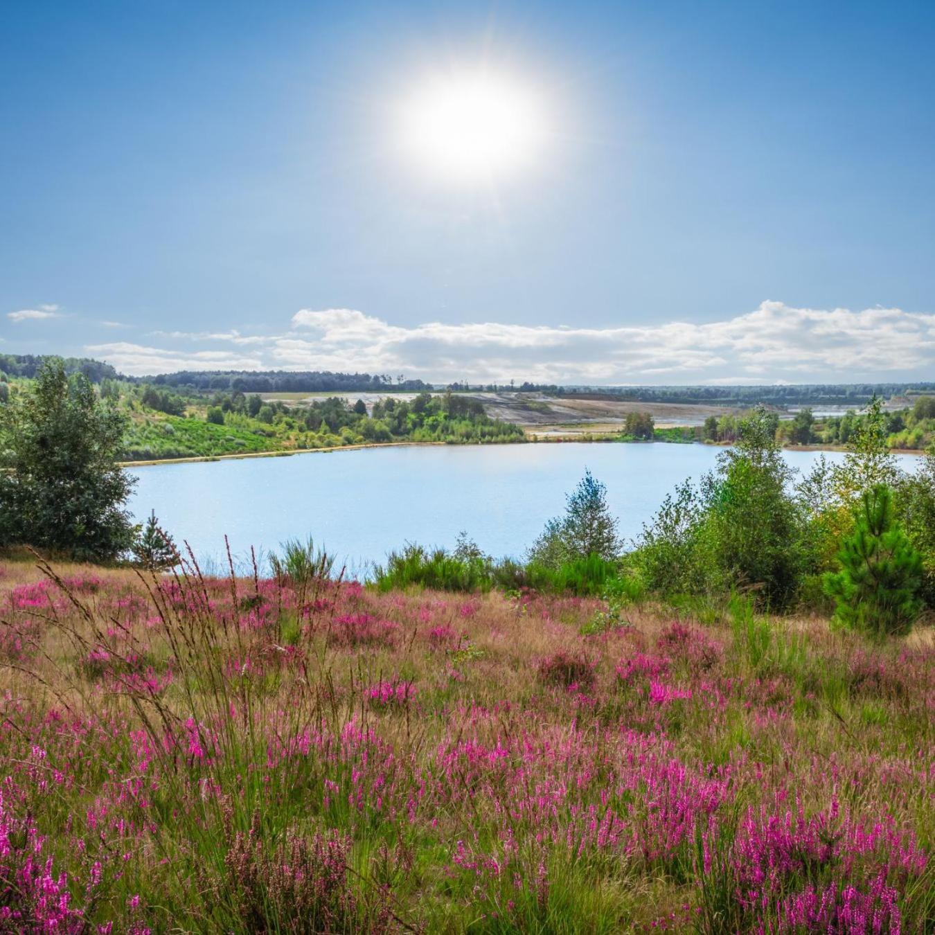 Chalet In Het Bos - Gezin - Wandelaars - Digital Nomads - Hs Wifi - Fijnspar 108 Aan de Wolfsberg Экстерьер фото