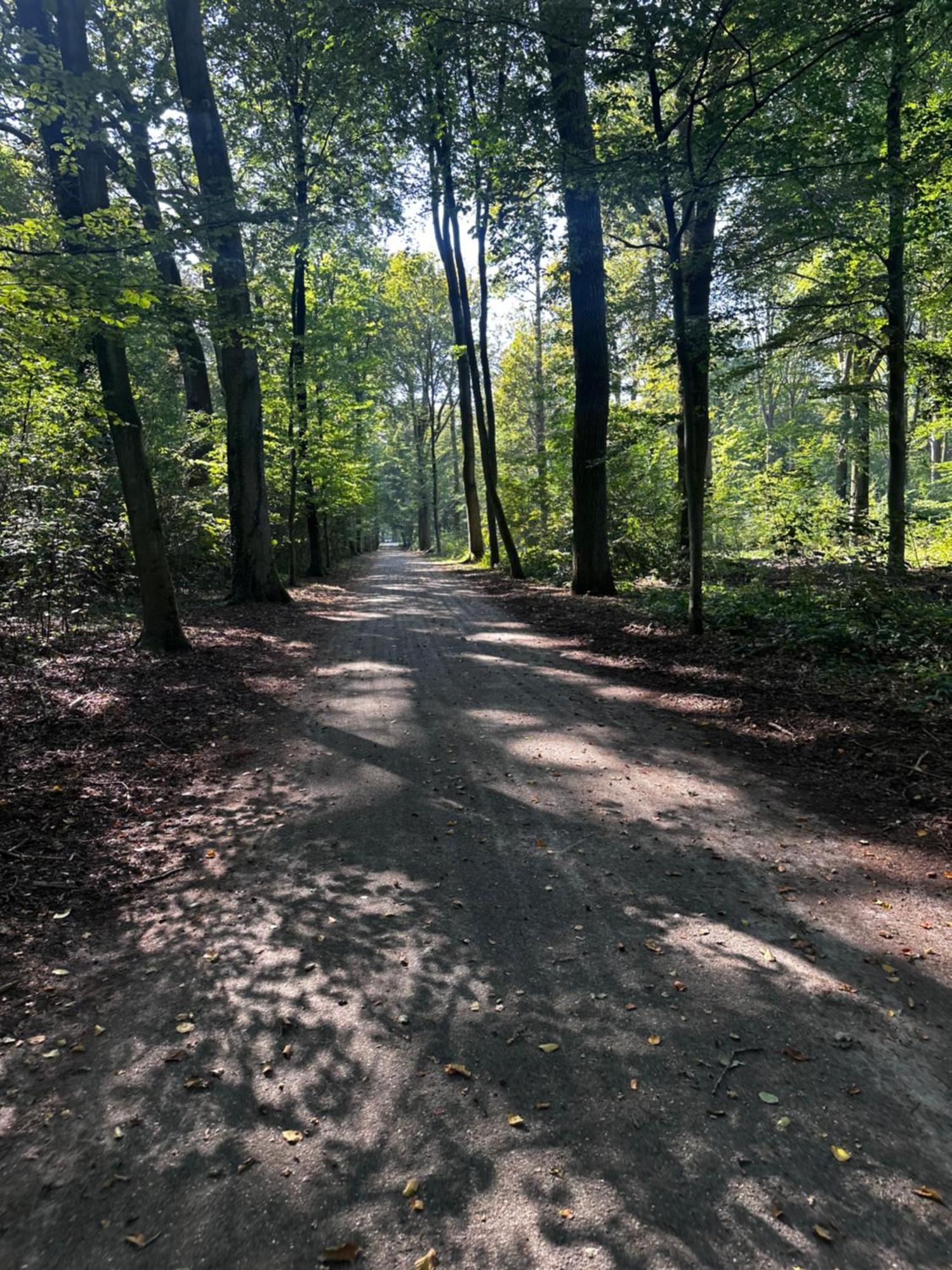 Chalet In Het Bos - Gezin - Wandelaars - Digital Nomads - Hs Wifi - Fijnspar 108 Aan de Wolfsberg Экстерьер фото